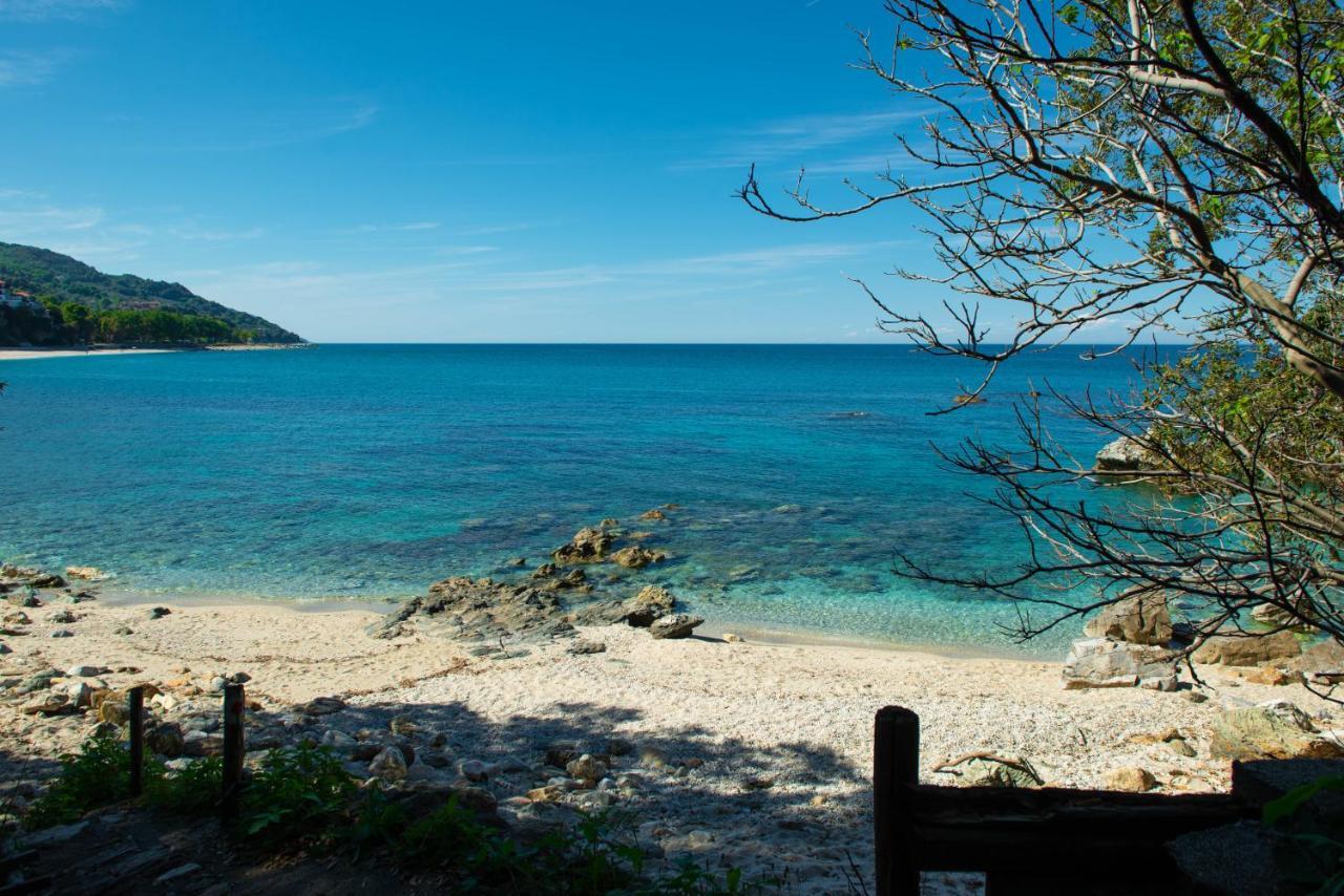 Pelion Bnb Luxury Homes ดามูคารี ภายนอก รูปภาพ